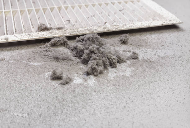Best Air Duct Cleaning Near Me  in Venice, IL
