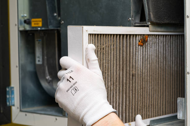 Best Affordable Air Duct Cleaning  in Venice, IL
