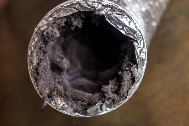 Best Home Air Vent Cleaning  in Venice, IL